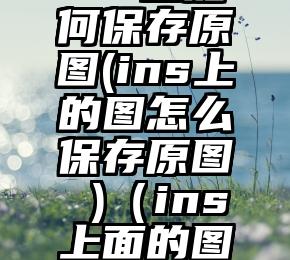 ins上如何保存原图(ins上的图怎么保存原图 )（ins上面的图怎么保存）